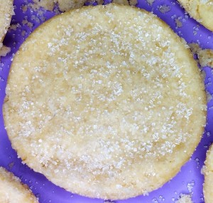 The Cookie Jar Orlando LLC