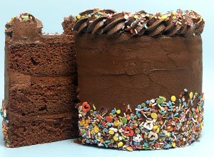 Chocolate layer cake with colorful sprinkles, sliced open to reveal rich interior for Orlando and Daytona celebrations.
