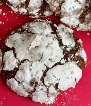 Crinkle-top chocolate snowdrop cookie coated in powdered sugar, resting on a red background. A festive favorite from The Cookie Jar Orlando, ideal for winter weddings, Christmas parties, dessert trays, and seasonal cookie favors.
