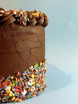 Tall chocolate cake with colorful sprinkles for birthdays, graduations, and celebrations in Orlando, Daytona, and St. Augustine.